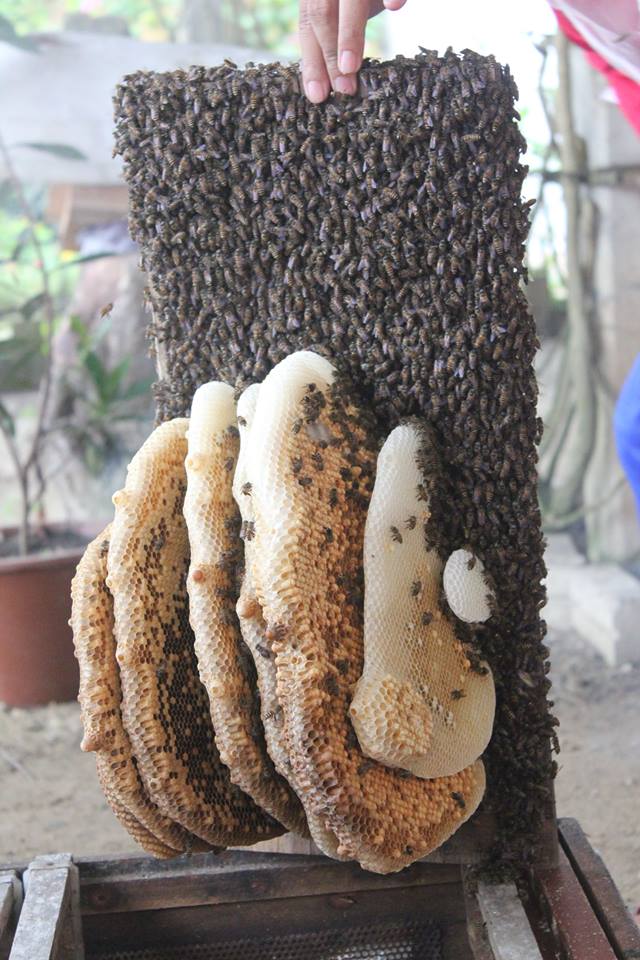 11863400 1036732243027879 4191992928019817261 n copy