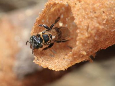 19424511 1596444893701628 3836337257201736539 n